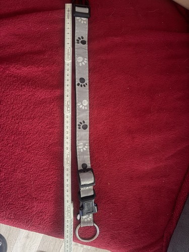 Trixie halsband grau - trixie,