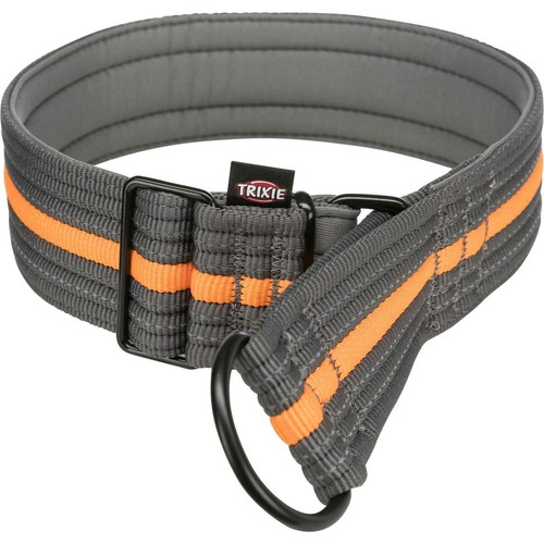 Dressurhalsband für hunde - für,