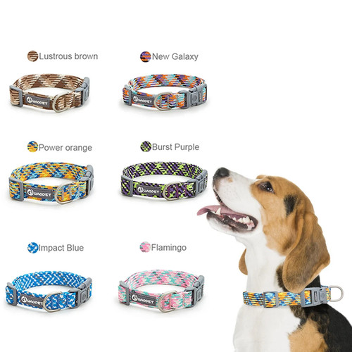 Reflektierendes halsband hunde - halsband,