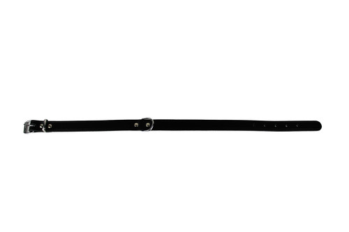 Trixie basic hundehalsband - basic,