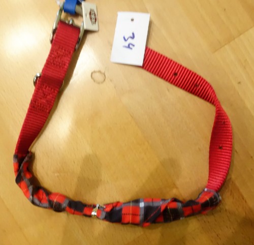 Hundehalsband mit tuch rot - hundehalsband,