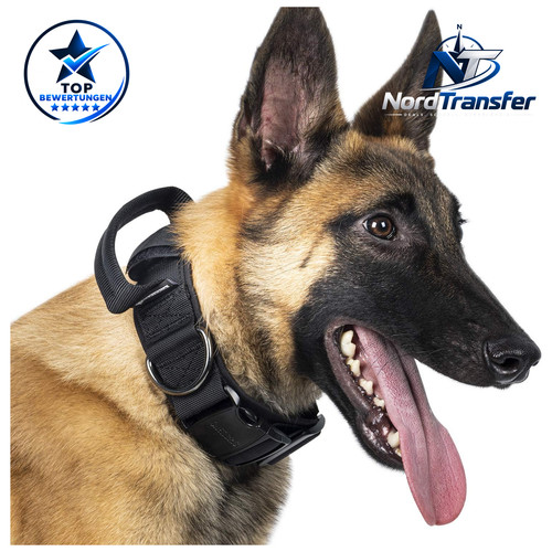 Hunde halsband metallschnalle - halsband,
