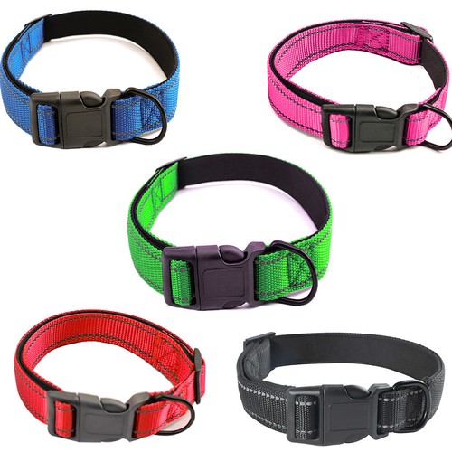 Hundehalsband nylon halsband - nylon,