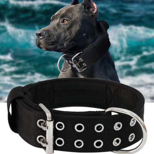 Hundehalsband für große - für,