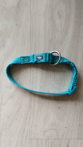 Hundehalsband türkis nylon - türkis,
