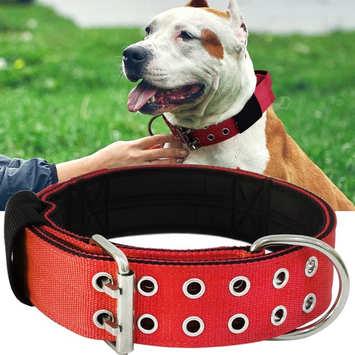 Hundehalsband für große - hundehalsband,