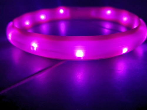 Leuchthalsband hund led - leuchthalsband,