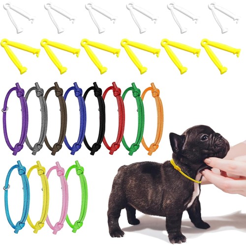 Hundehalsband set mit - hundehalsband,