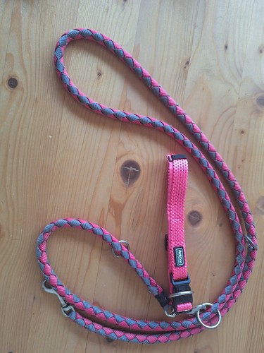 Hundehalsband anione - hundehalsband,